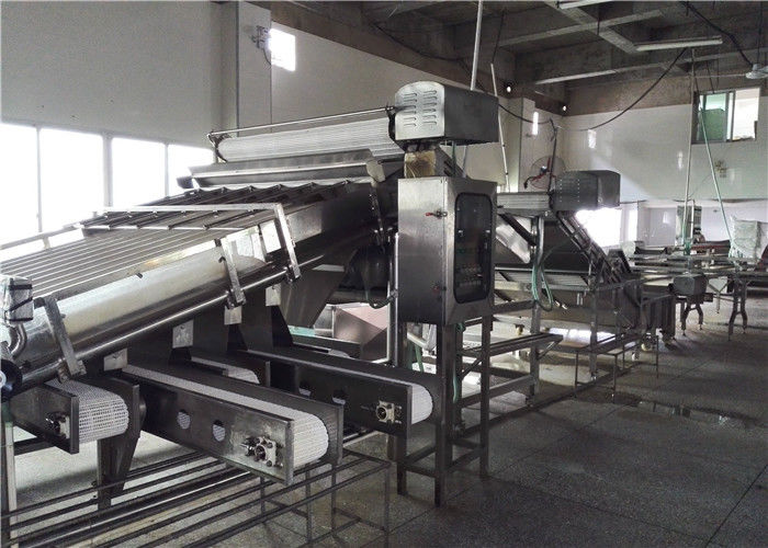 Xiamen Tongzhonghe Imp & Exp Co., Ltd. производственная линия изготовителя