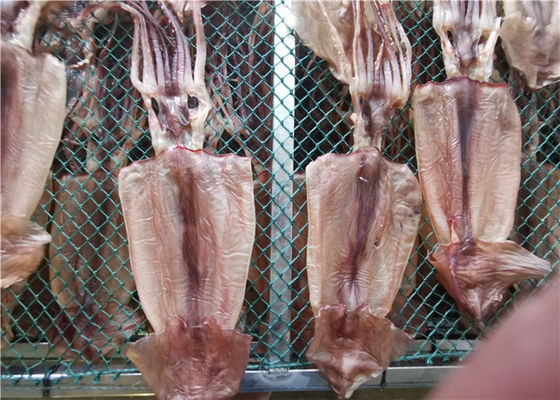 quality Оптовый кальмар морепродуктов 80g 90g весь высушенный для ресторана factory